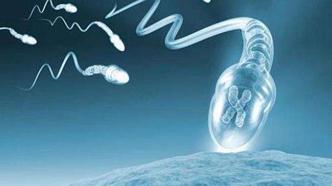 2026北京技术比较好的试管婴儿医院，这3家试管医院技术好