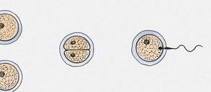 2026年三亚助孕生子机构名单公布，看看这份最新排名榜单吧