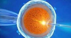 (广州市试管的费用)广州市一人民医院试管费用明细