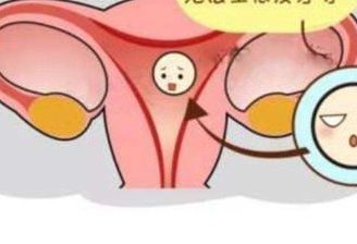 2026北京市十大正规助孕公司机构大盘点（助孕精选笔记）