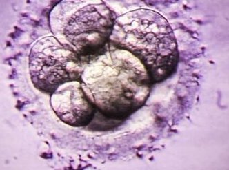 2026国内十大助孕机构Top3排名介绍，附国内各地知名助孕公司